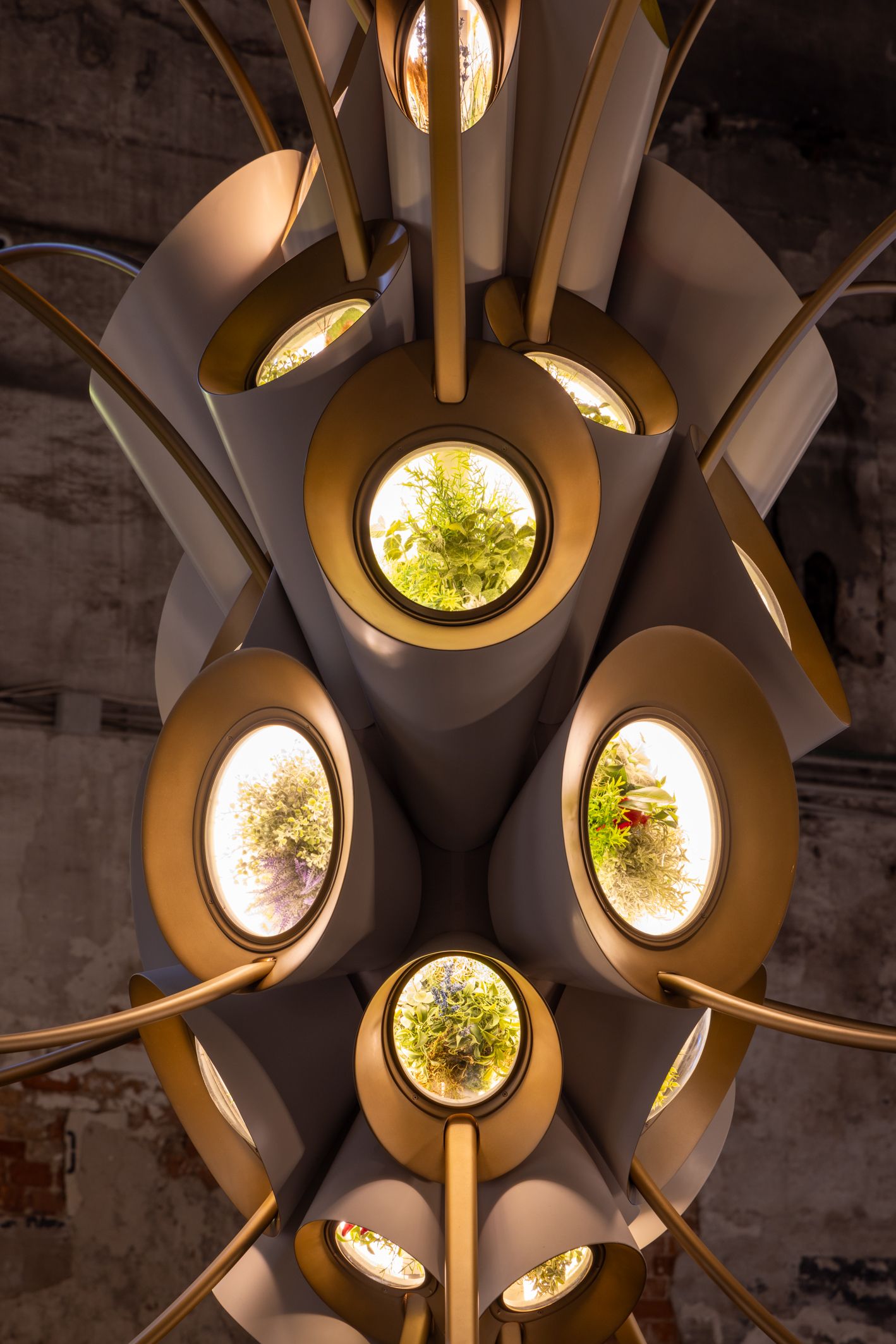 the-plan-to-send-plant-filled-‘gardens’-into-orbit