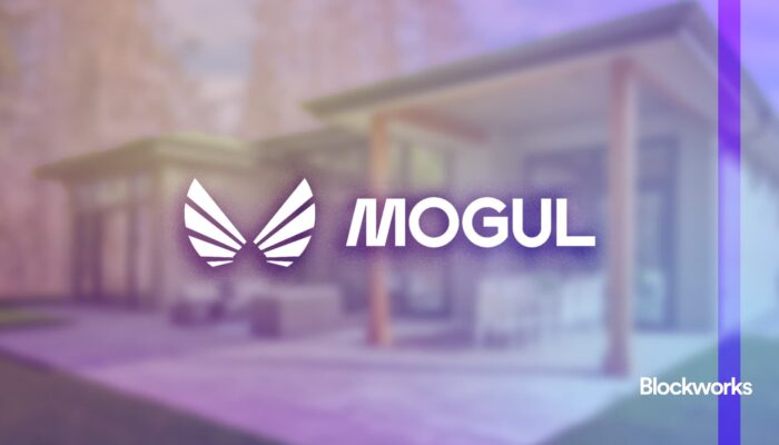 mogul-puts-real-estate-investments-on-avalanche