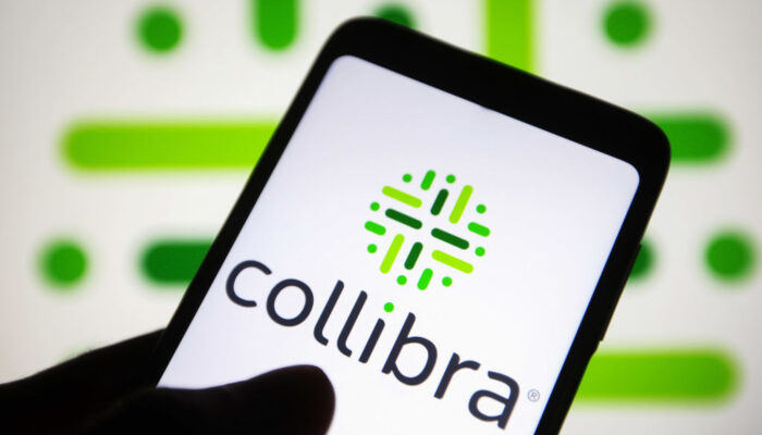 collibra-acquires-data-access-startup-raito