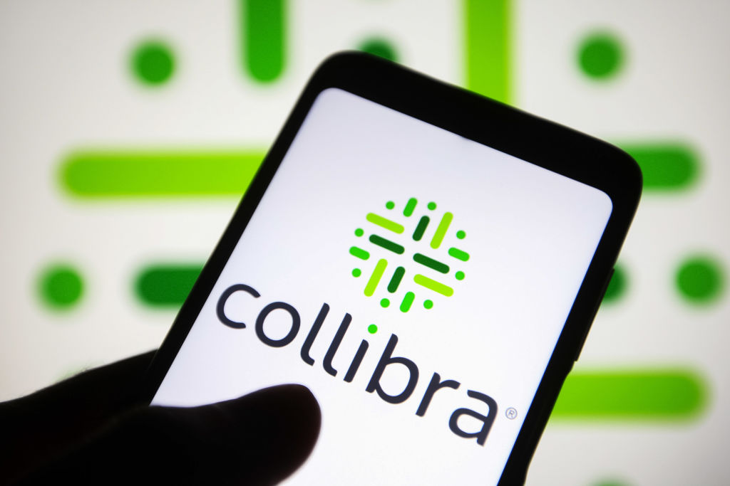collibra-acquires-data-access-startup-raito