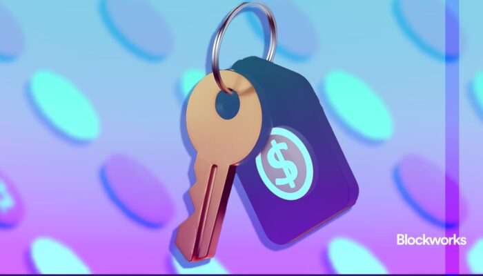 crypto-needs-to-fix-token-holder-protections