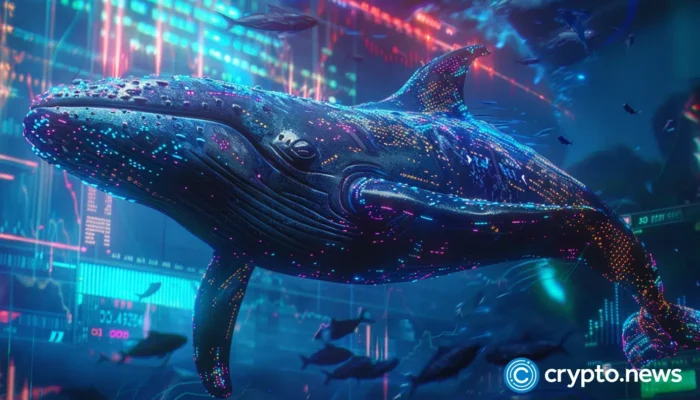 mask-network-price-pumps-then-dumps-as-whales-sell