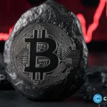czech-government-under-pressure-over-bitcoin-donation-from-‘silk-road’-entrepreneur