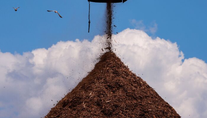 wood-pellet-mills-are-prone-to-catching-fire.-why-build-them-in-california?