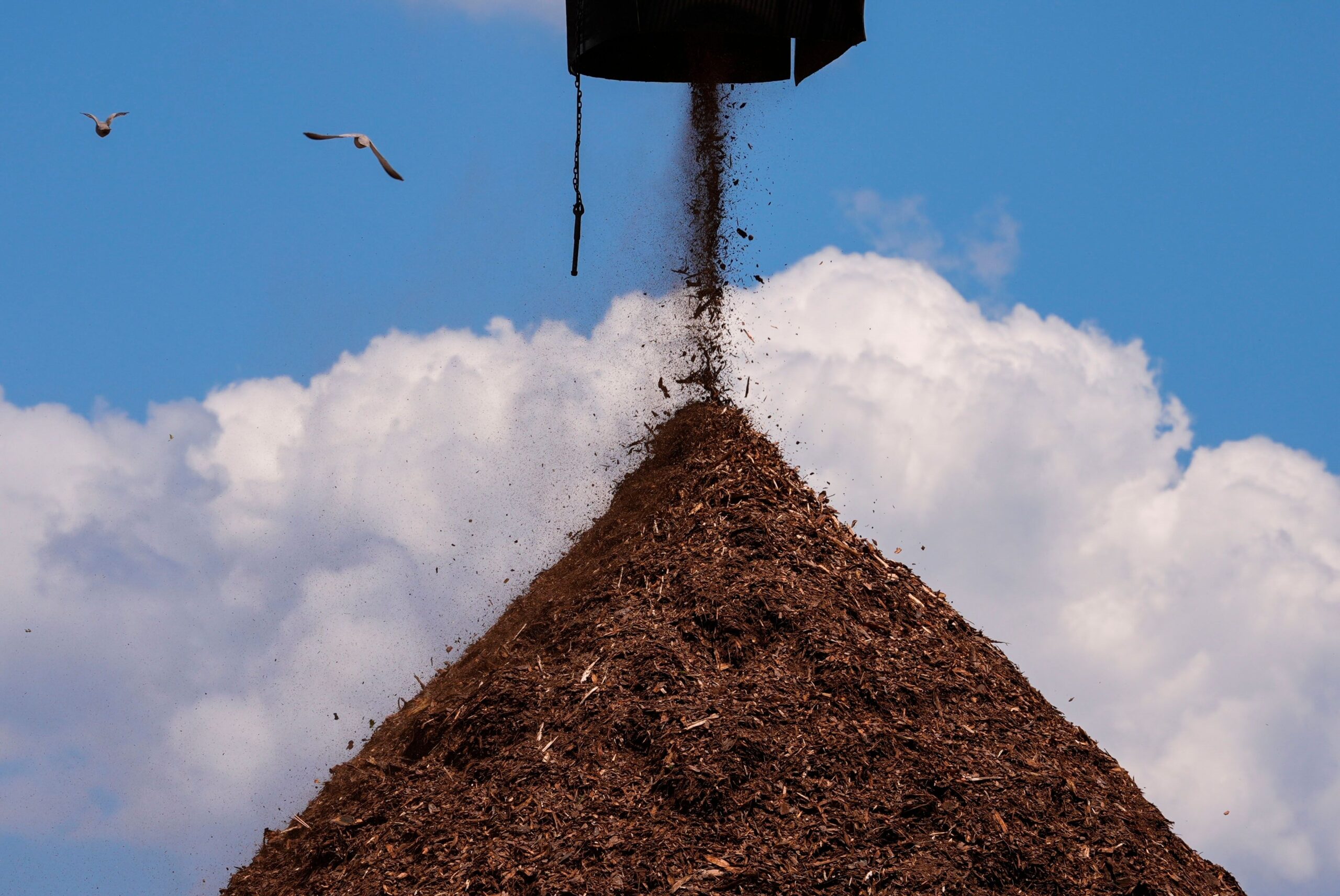 wood-pellet-mills-are-prone-to-catching-fire.-why-build-them-in-california?