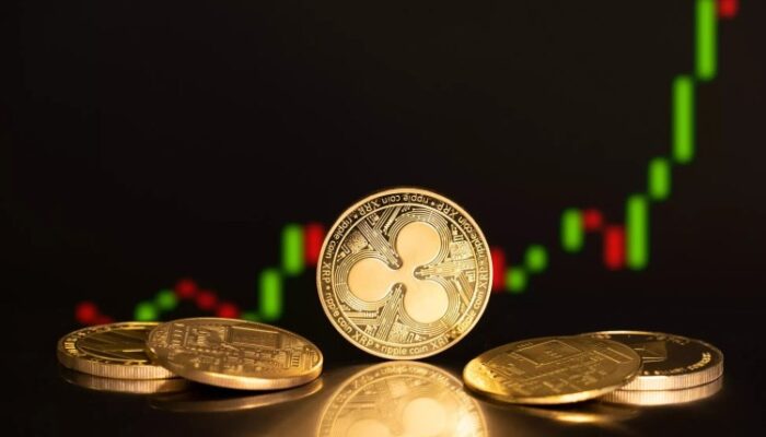 if-patience-had-value,-xrp-holders-would-own-the-market—expert