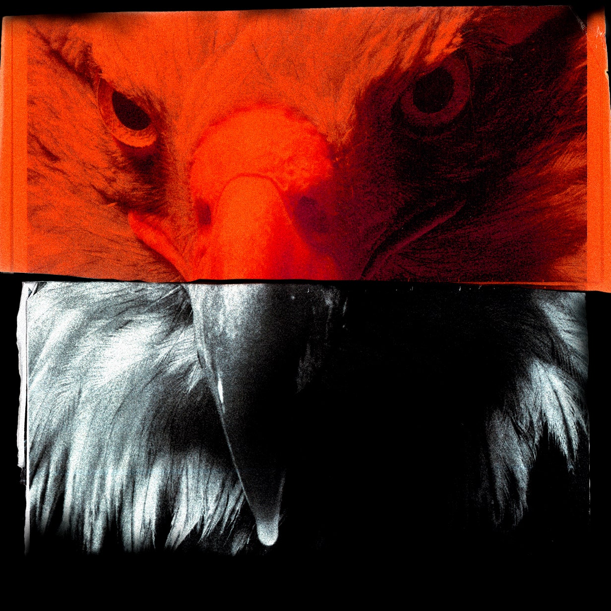 the-wired-guide-to-protecting-yourself-from-government-surveillance