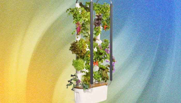 grow-anything-you-want-in-gardyn’s-indoor-hydroponic-garden—ai-guarantees-it-will-work
