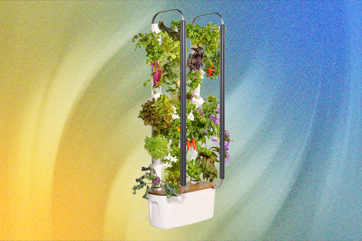 grow-anything-you-want-in-gardyn’s-indoor-hydroponic-garden—ai-guarantees-it-will-work