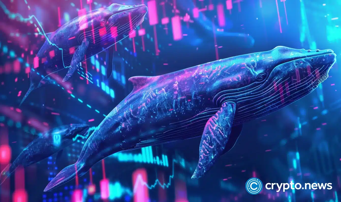 james-wynn’s-side-wallet-reportedly-dumps-massive-moonpig-supply