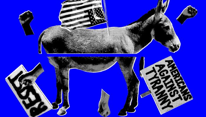 how-democrats-are-meeting-(and-missing)-the-moment
