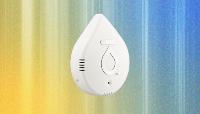 keep-your-home-safe-and-dry-with-the-best-water-leak-detectors