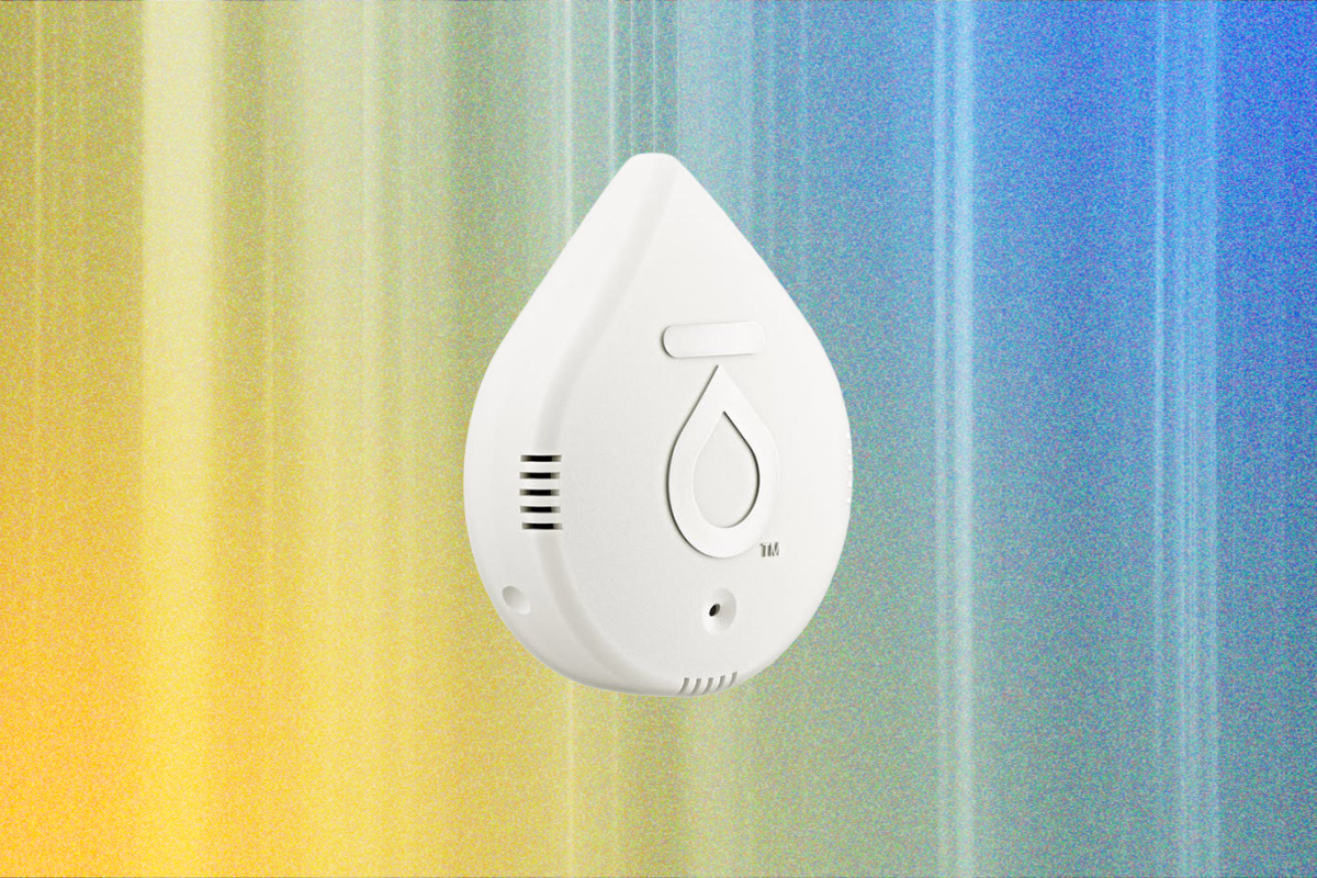 keep-your-home-safe-and-dry-with-the-best-water-leak-detectors
