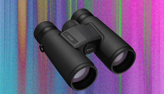 the-best-binoculars-to-help-you-find-the-ivory-billed-woodpecker