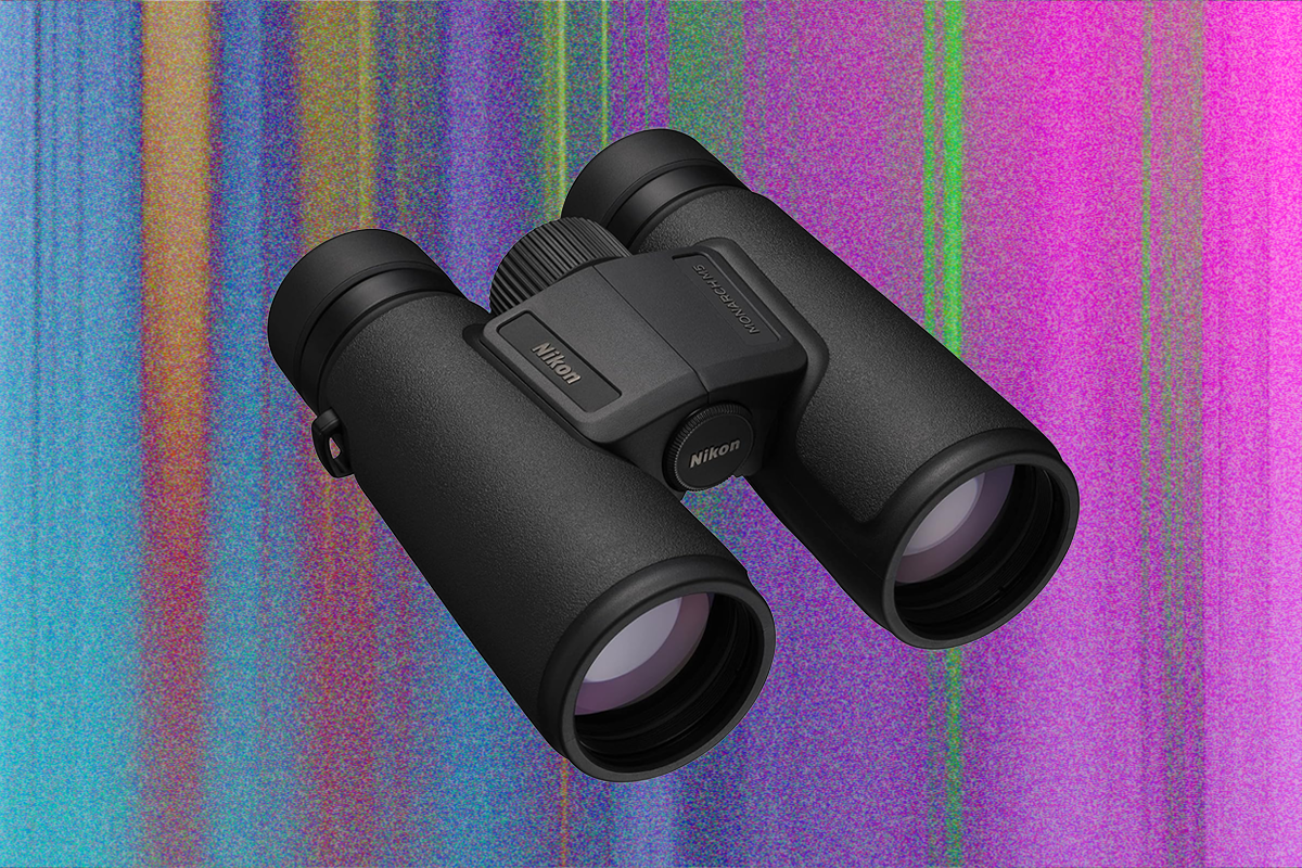 the-best-binoculars-to-help-you-find-the-ivory-billed-woodpecker
