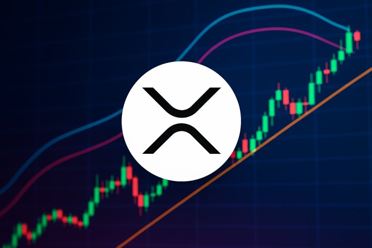 xrp-bulls-on-alert—’this-trendline-is-everything,’-says-analyst