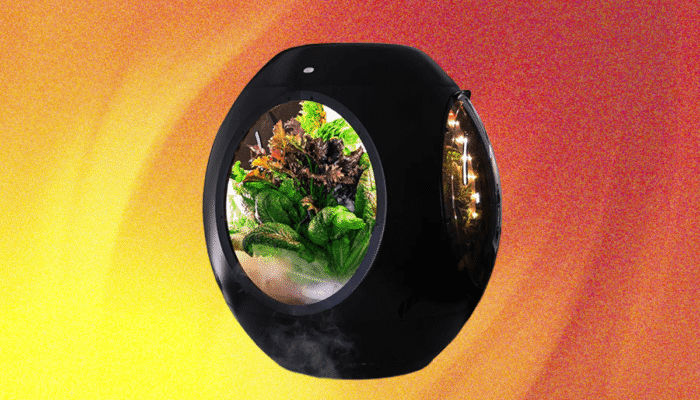 plantaform’s-smart-indoor-fogponics-garden-system-is-innovative,-but-is-it-safe?