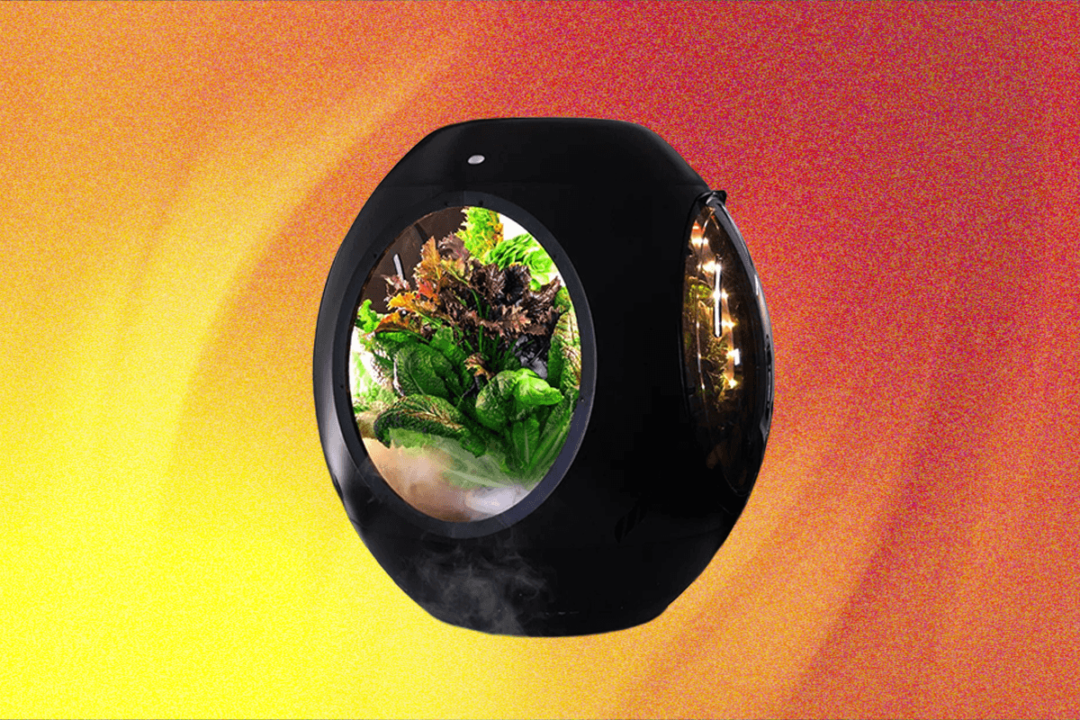 plantaform’s-smart-indoor-fogponics-garden-system-is-innovative,-but-is-it-safe?