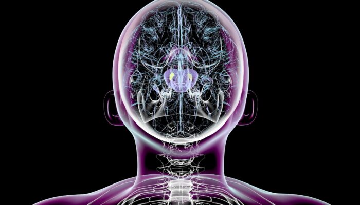 scientists-succeed-in-reversing-parkinson’s-symptoms-in-mice