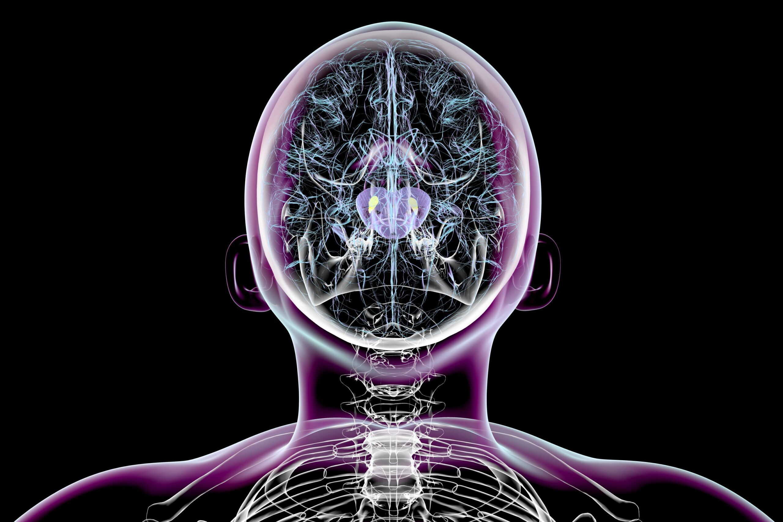 scientists-succeed-in-reversing-parkinson’s-symptoms-in-mice