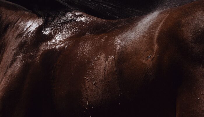 cloning-came-to-polo.-then-things-got-truly-uncivilized