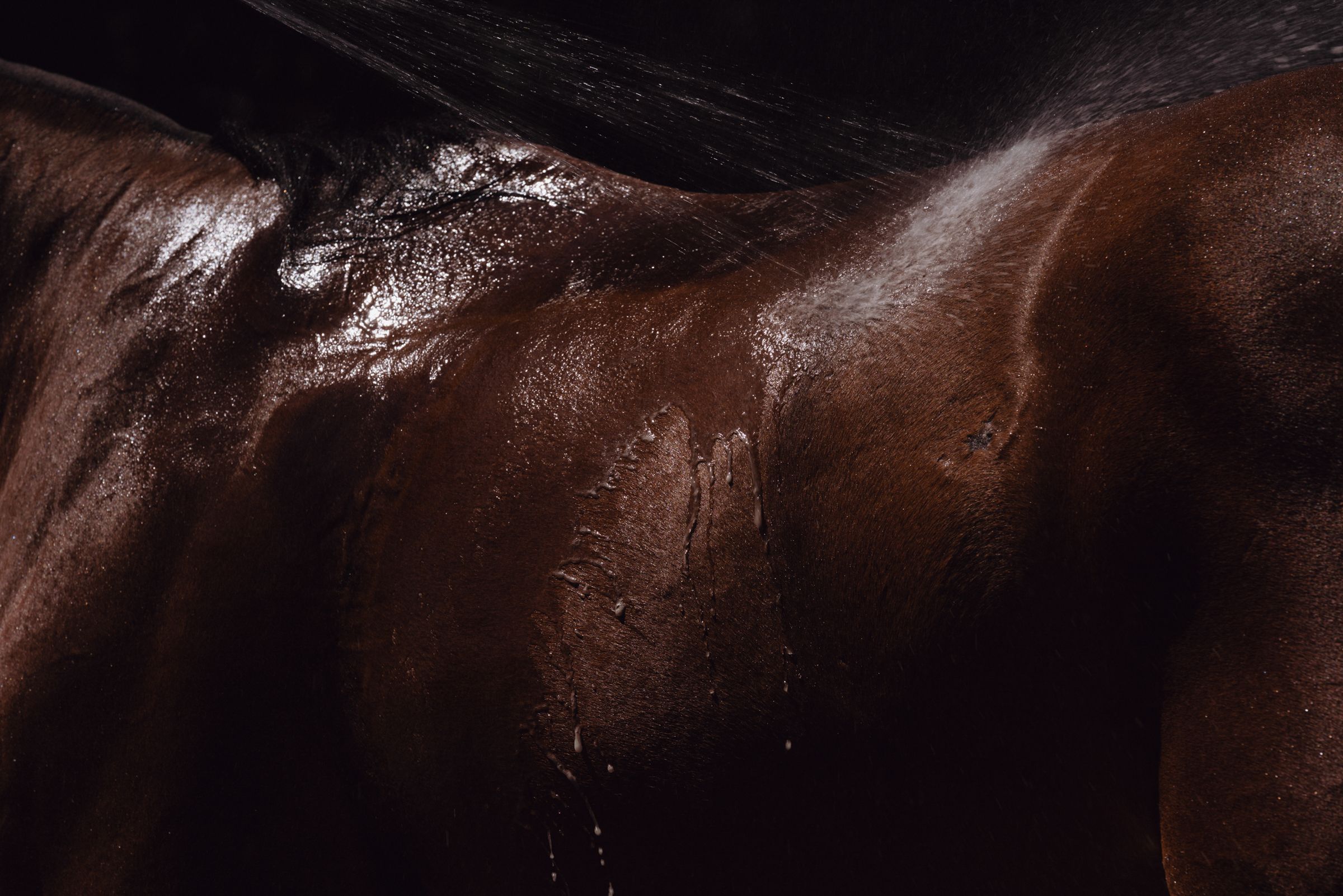 cloning-came-to-polo.-then-things-got-truly-uncivilized