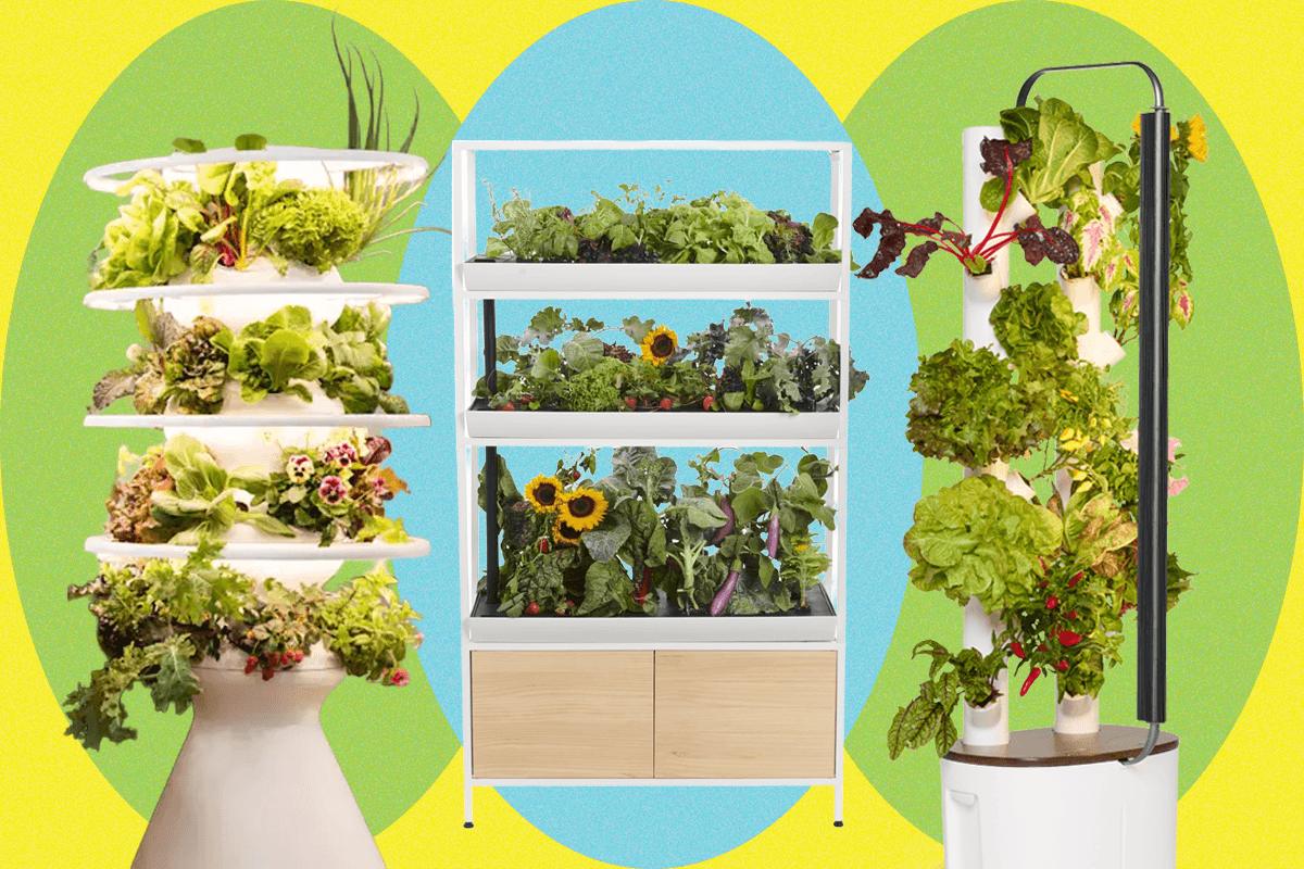 which-indoor-gardening-system-is-worth-the-price?-we-tried-them-all