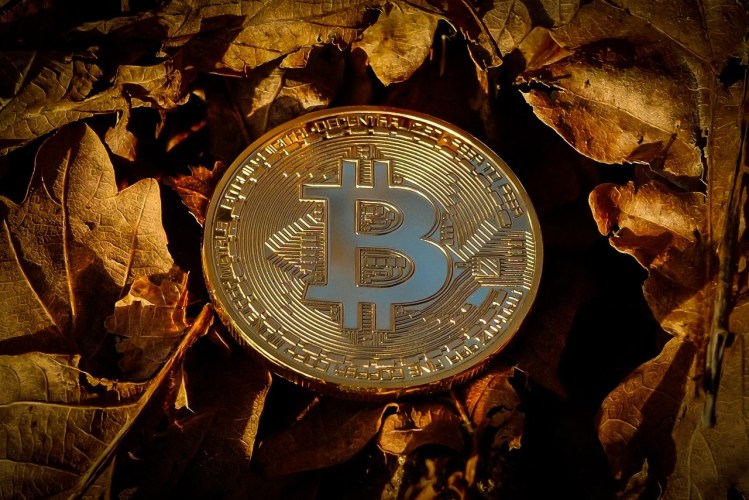elon-musk’s-spacex-moves-bitcoin-holdings-for-the-first-time-in-3-years,-here’s-where-it-went elon-musk’s-spacex-moves-bitcoin-holdings-for-the-first-time-in-3-years,-here’s-where-it-went