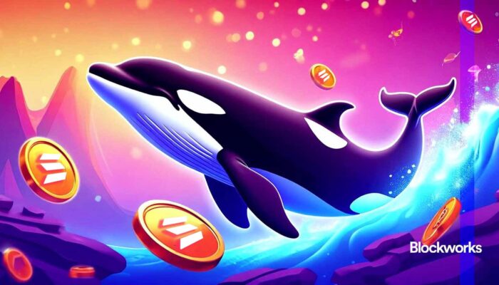 orca-releases-wavebreak-launchpad-for-solana-tokens