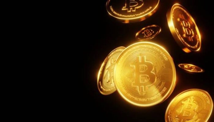 bitcoin-treasury-purchases-down-amid-record-holdings-–-what-does-this-mean?