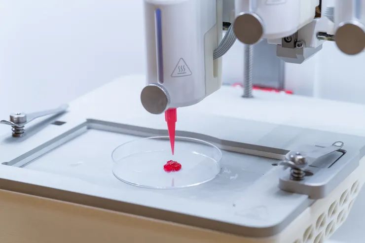 researchers-create-3d-printed-artificial-skin-that-allows-blood-circulation