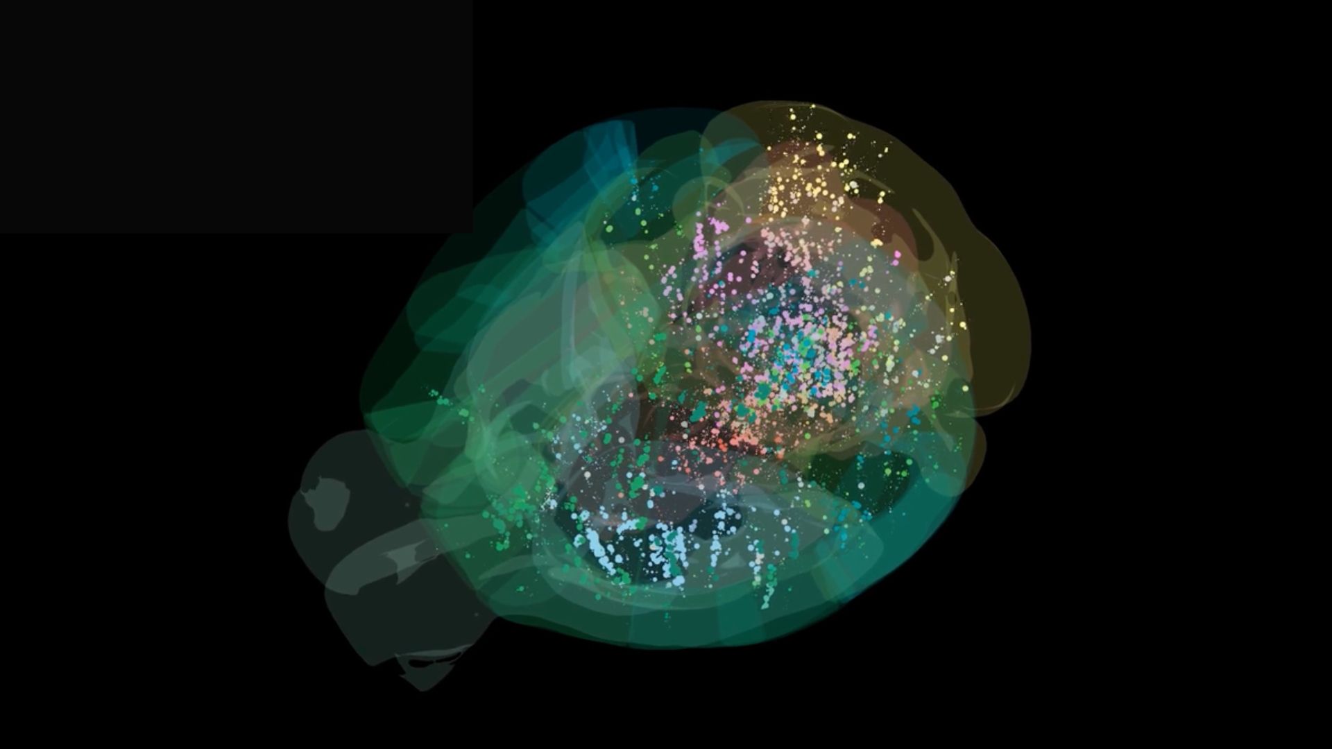 this-is-the-first-time-scientists-have-seen-decisionmaking-in-a-brain
