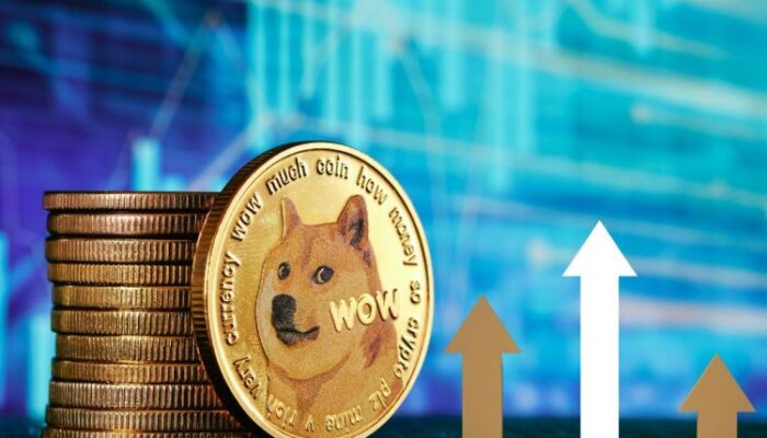 expert-crypto-trader-says-dogecoin-price-looks-‘very-good’,-here’s-why