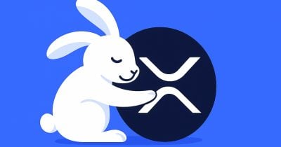 rabby-wallet-integrates-xrpl-evm-chain-with-peersyst