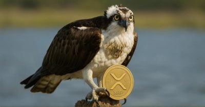 rex-osprey-to-debut-first-xrp-etf-in-the-us-this-week