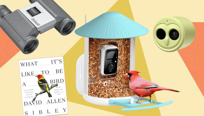 these-are-our-15-favorite-wired-gifts-for-bird-lovers