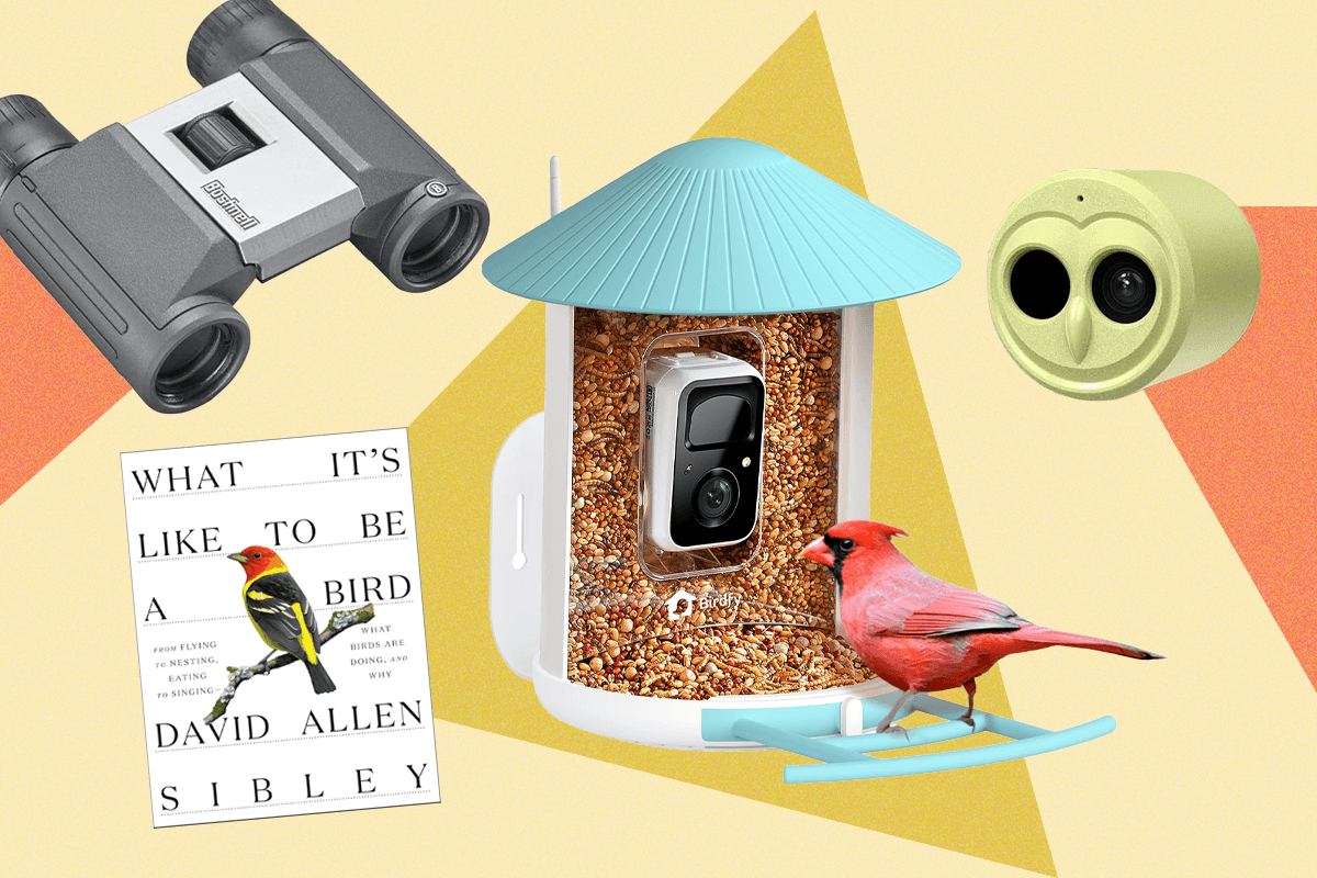 these-are-our-15-favorite-wired-gifts-for-bird-lovers