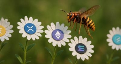 cyber-hornet-files-for-etfs-blending-s&p-500-with-ether,-xrp,-and-solana-futures