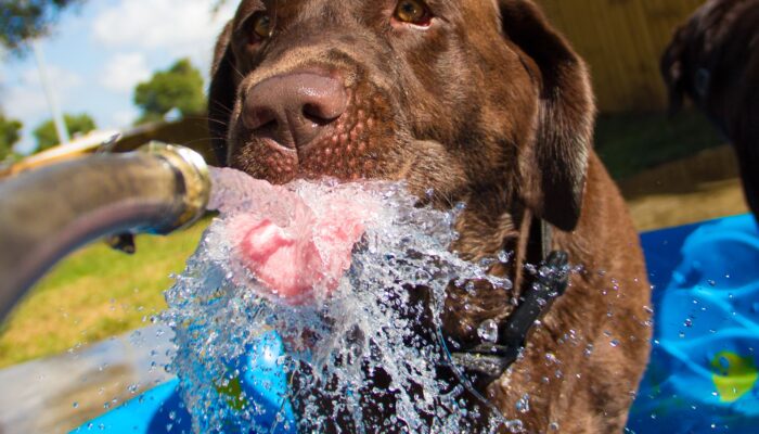 what-is-thirst?