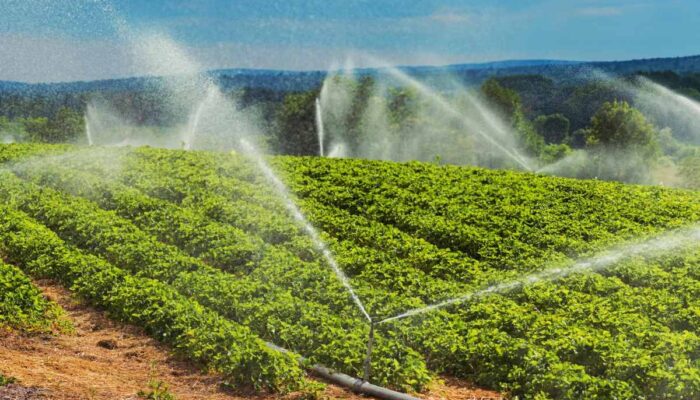 instacrops-will-demo-its-water-saving,-crop-boosting-ai-at-techcrunch-disrupt-2025