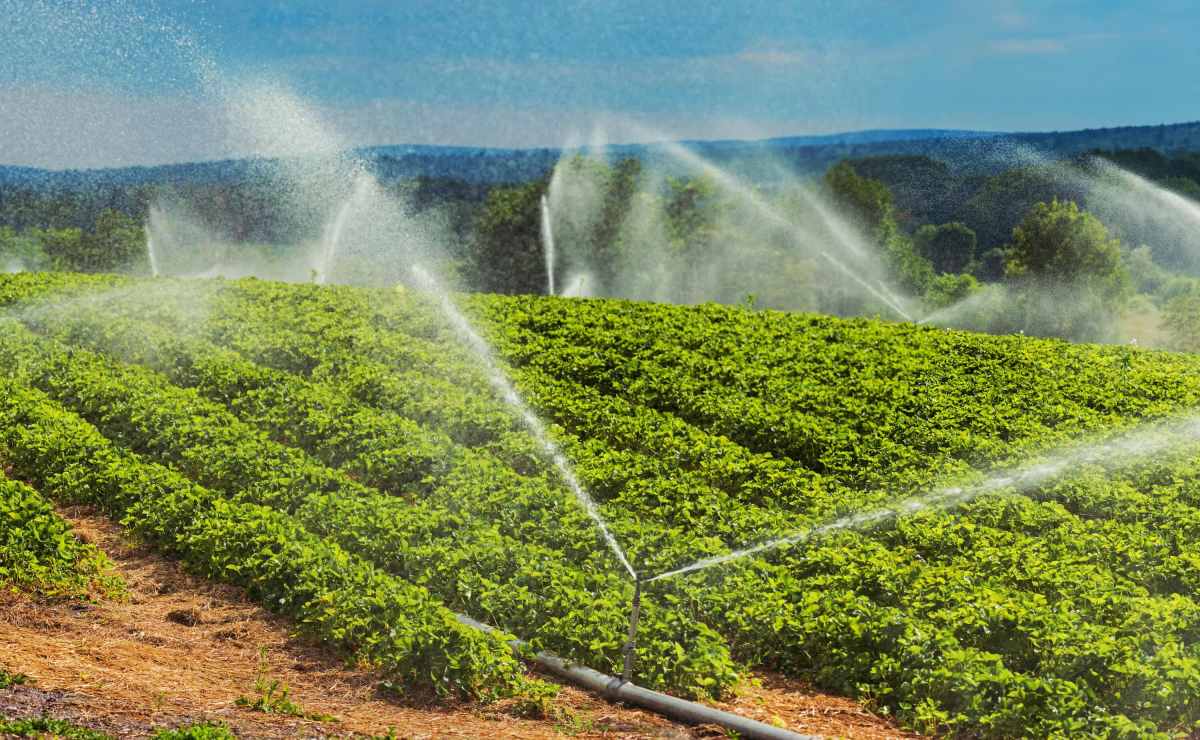 instacrops-will-demo-its-water-saving,-crop-boosting-ai-at-techcrunch-disrupt-2025