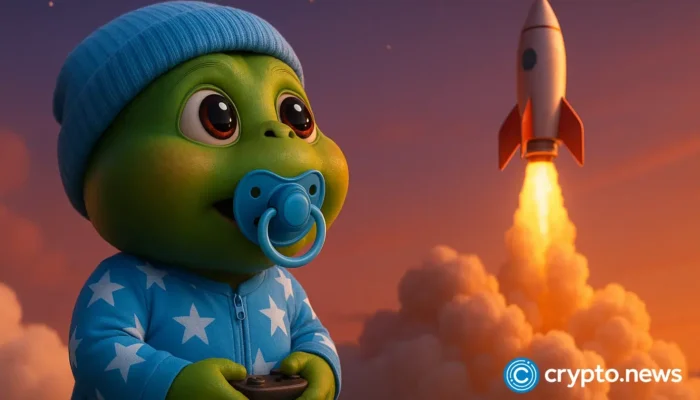 little-pepe-price-forecast-for-the-next-12-months