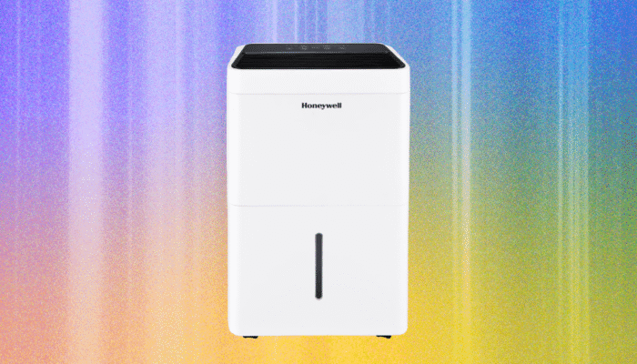 the-best-dehumidifiers-to-keep-your-home-cool-and-dry