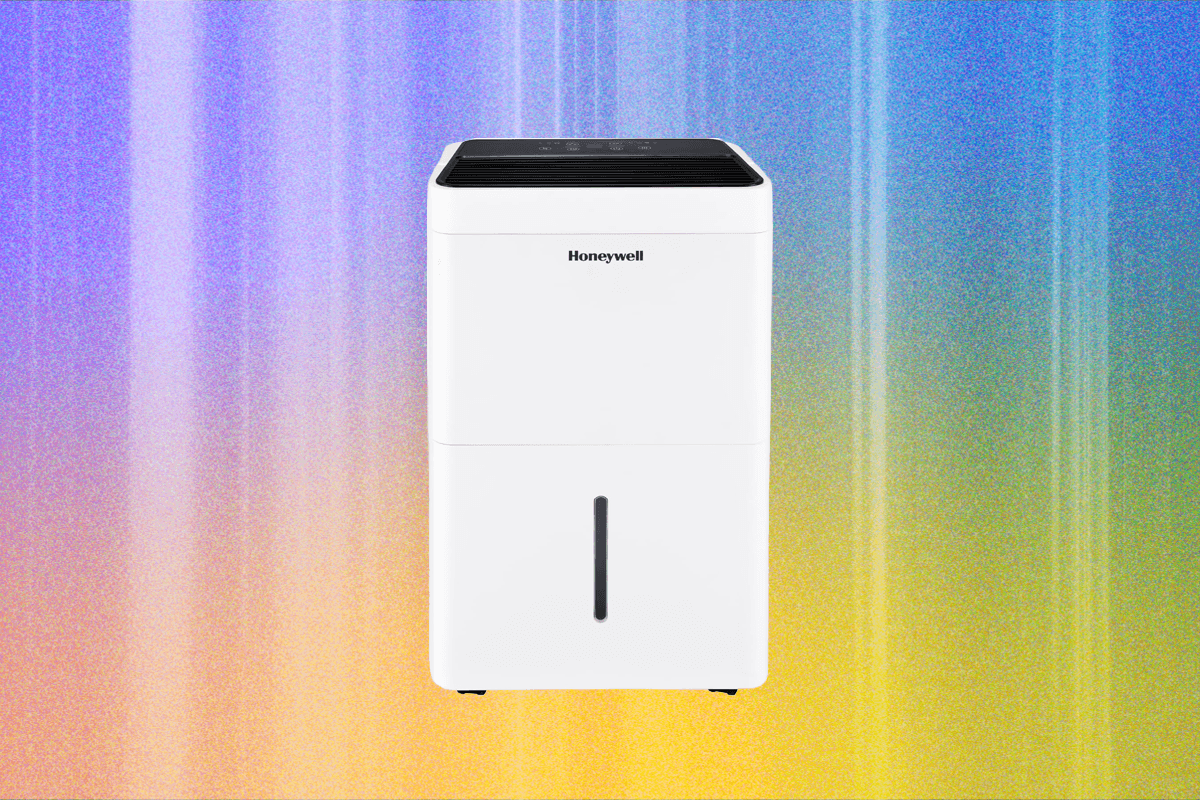 the-best-dehumidifiers-to-keep-your-home-cool-and-dry