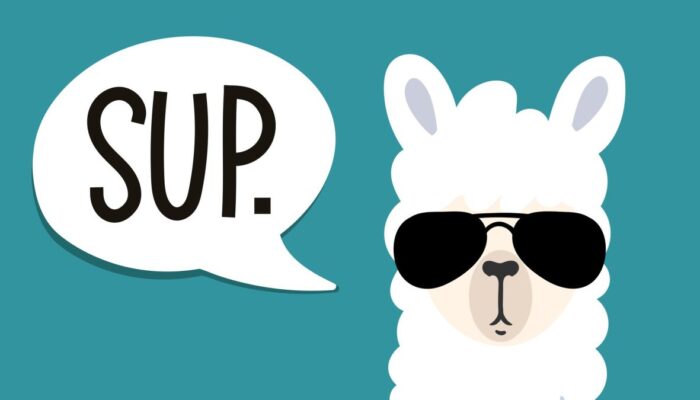 meta-llama:-everything-you-need-to-know-about-the-open-generative-ai-model