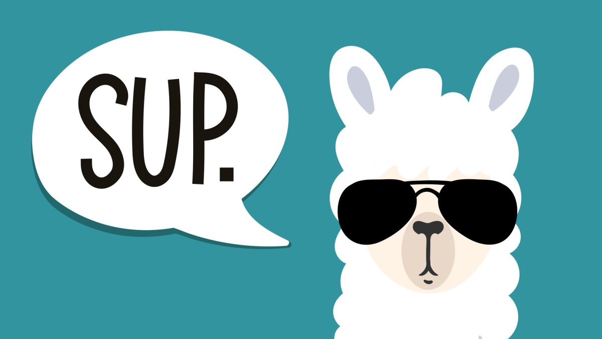 meta-llama:-everything-you-need-to-know-about-the-open-generative-ai-model