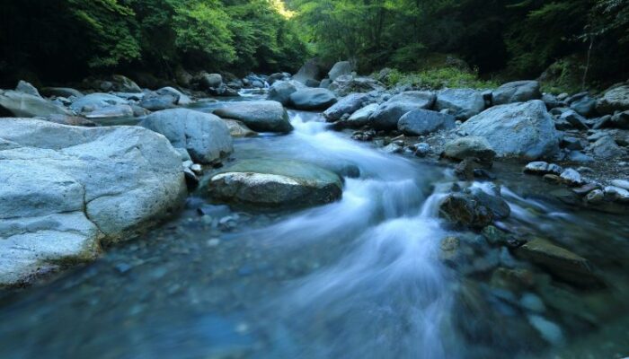 money-keeps-flowing:-crypto-funds-hit-record-$6-b-inflows