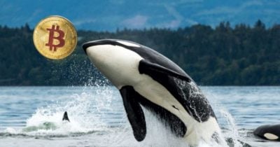 whales-move-15,054-bitcoin-worth-$1.9b-into-exchanges-today