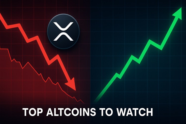 top-altcoins-to-watch-as-xrp-liquidations-shake-the-market