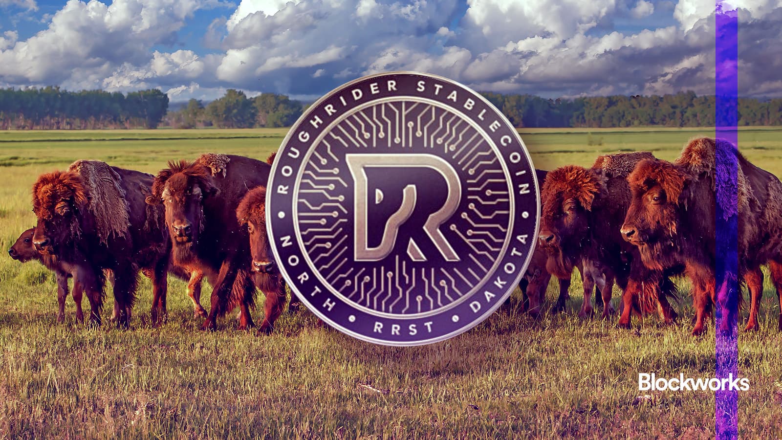 bank-of-north-dakota-and-fiserv-to-launch-roughrider-coin-stablecoin